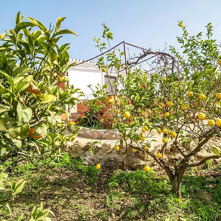 5 Bedroom Lovely In Holiday home Periana